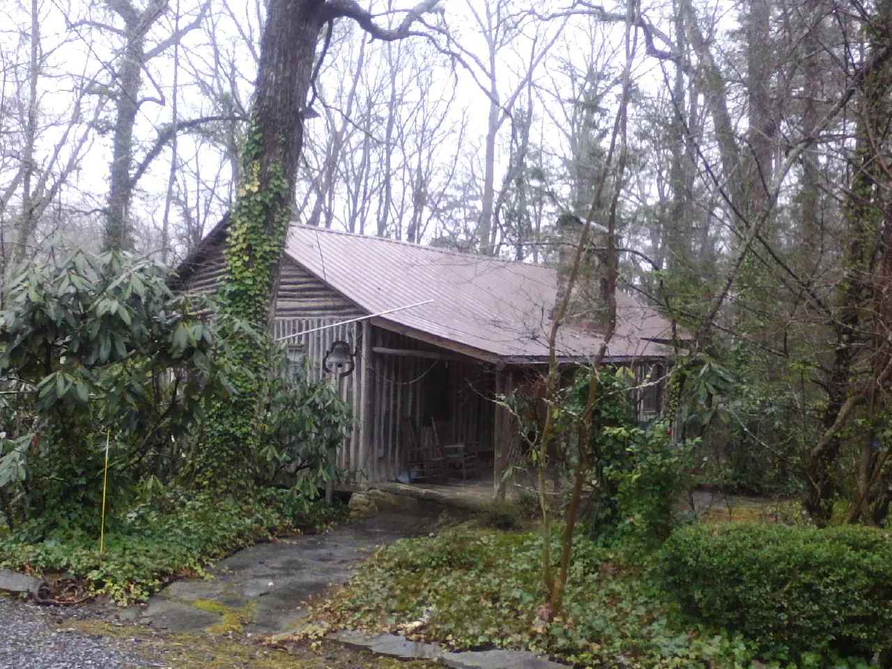 Weathered metal roof on an old board sided cabin in the woods in Reseda